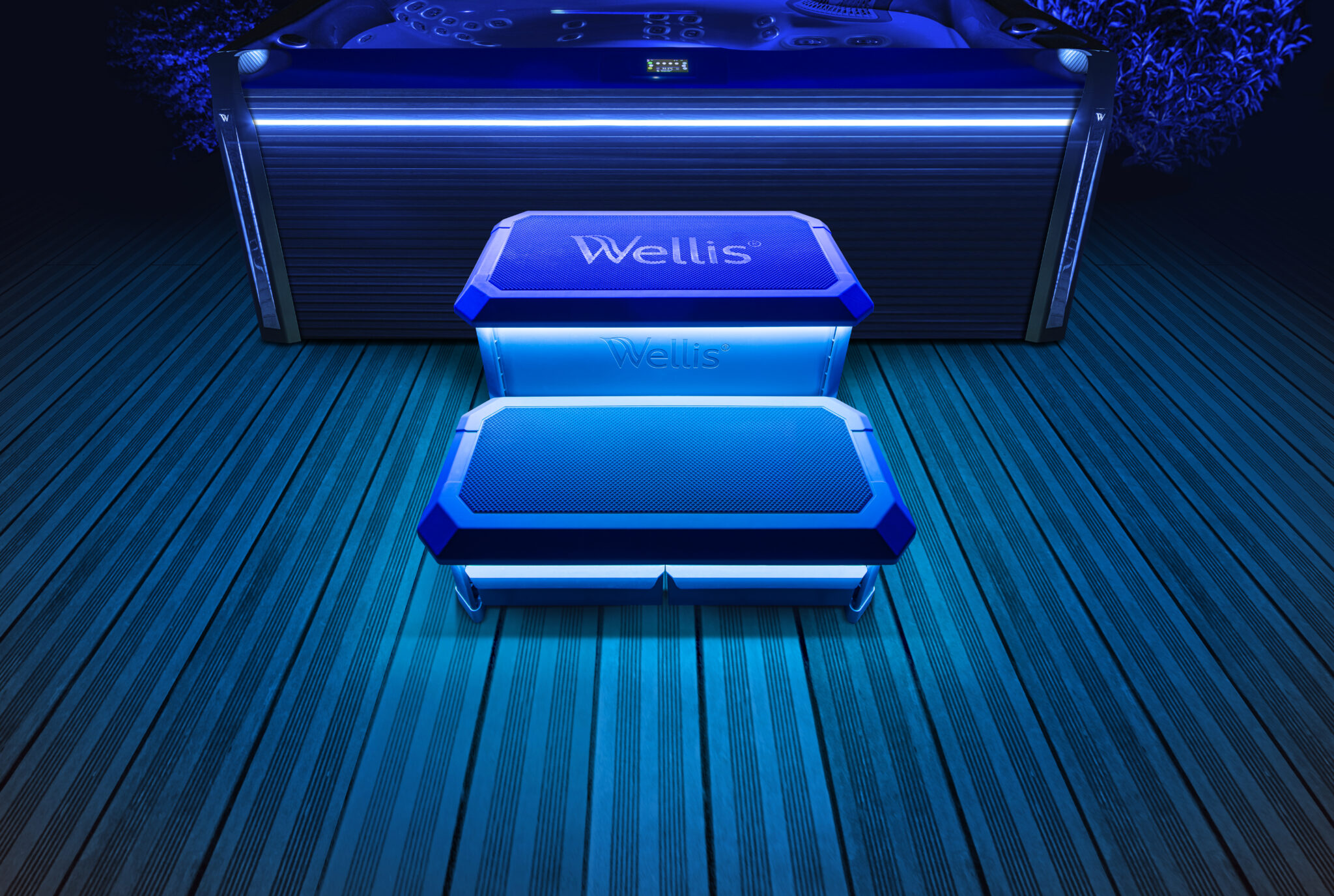 Wellis Smart-In-Step – Bild 2